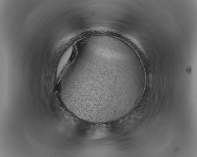 X0000091361111200708171518