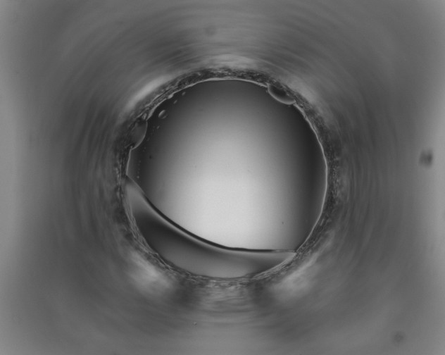 X0000091361112200708171518