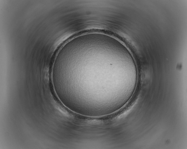X0000091361113200708171518