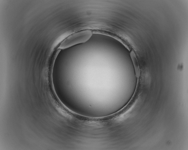 X0000091361114200708171518