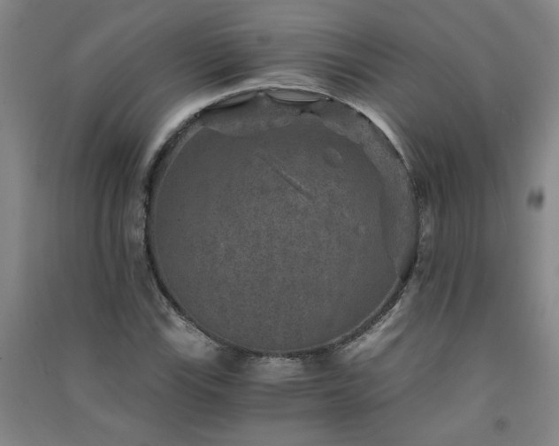 X0000091361115200708171518