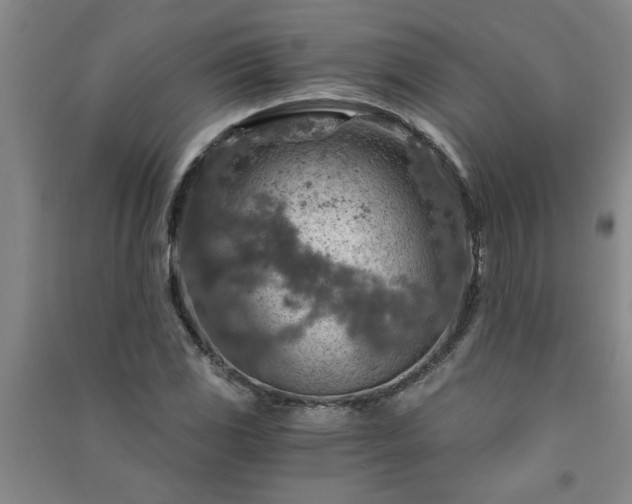X0000091361117200708171518