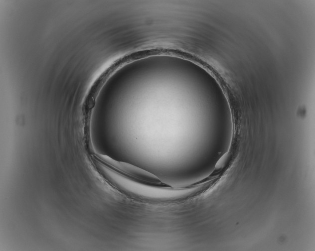 X0000091361118200708171518