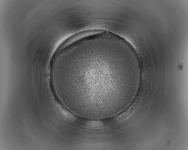X0000091361119200708171518