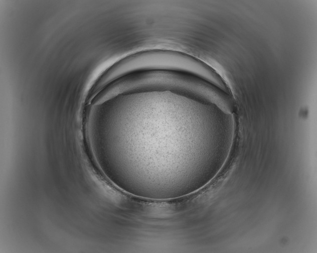 X0000091361120200708171518