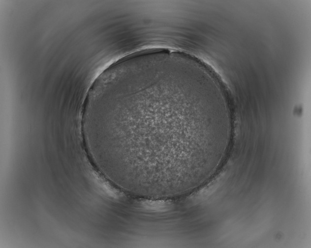 X0000091361121200708171518