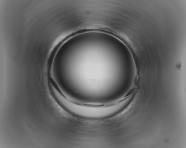 X0000091361122200708171518