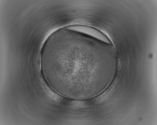 X0000091361123200708171518
