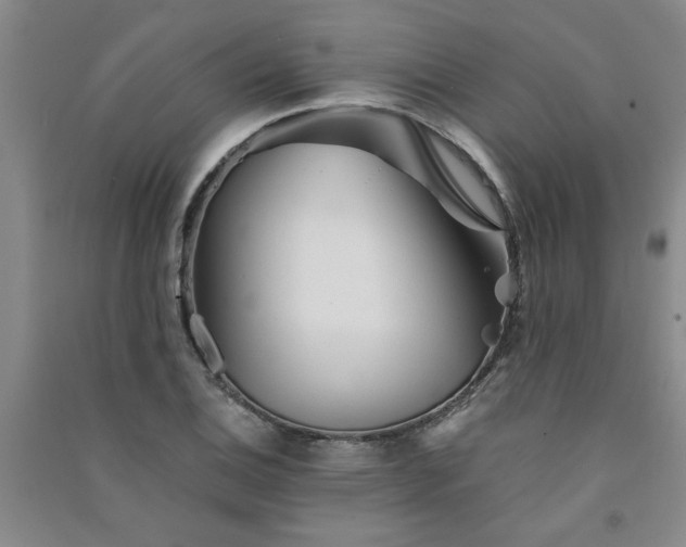 X0000091361124200708171518