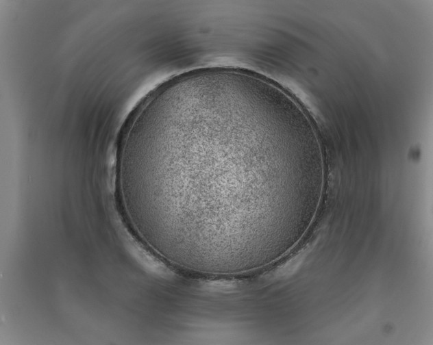 X0000091361126200708171518