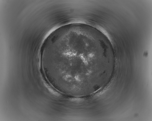 X0000091361127200708171518