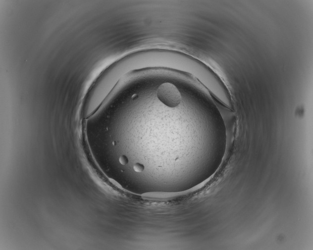 X0000091361128200708171518