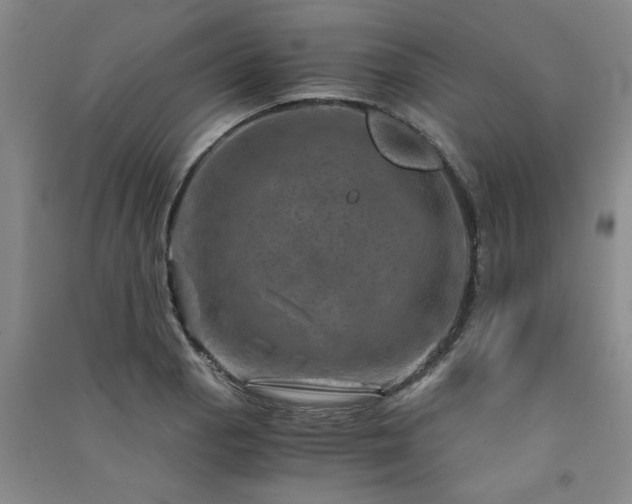 X0000091361129200708171518