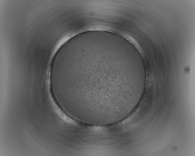X0000091361130200708171518