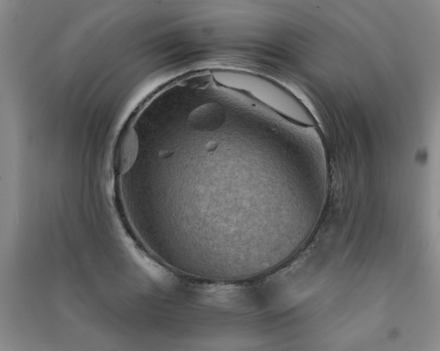 X0000091361131200708171518