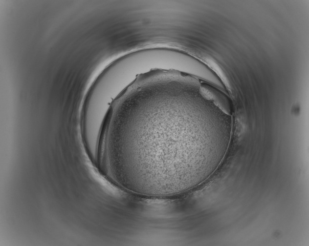X0000091361132200708171518