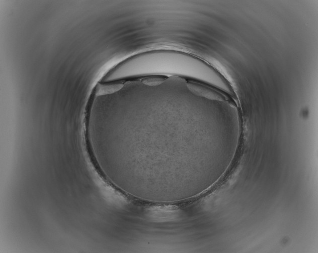 X0000091361133200708171518