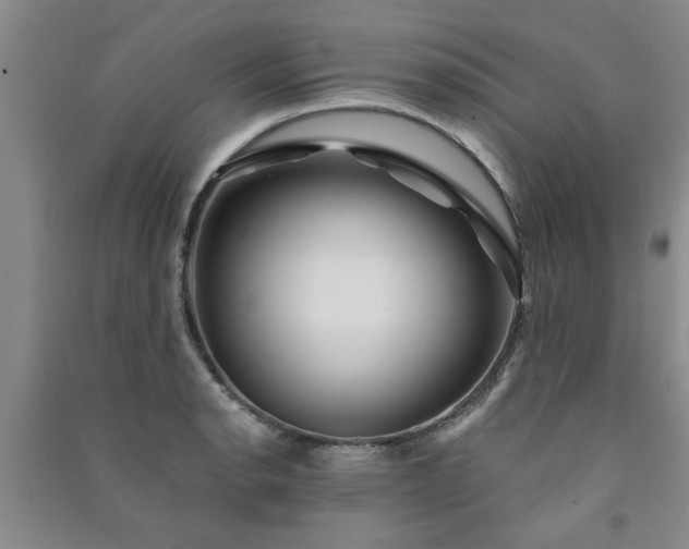 X0000091361134200708171518