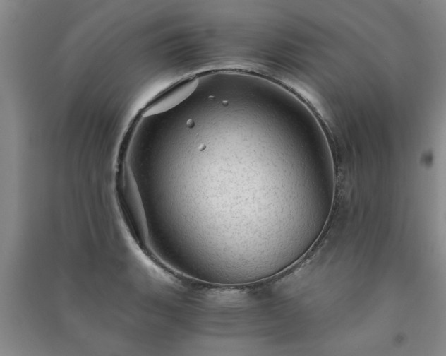 X0000091361135200708171518
