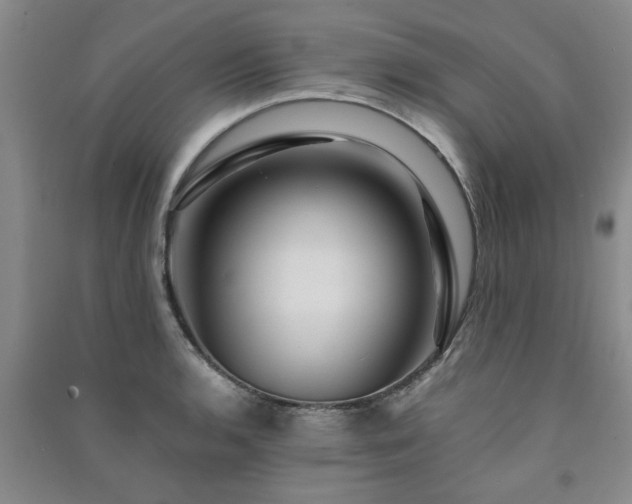 X0000091361136200708171518