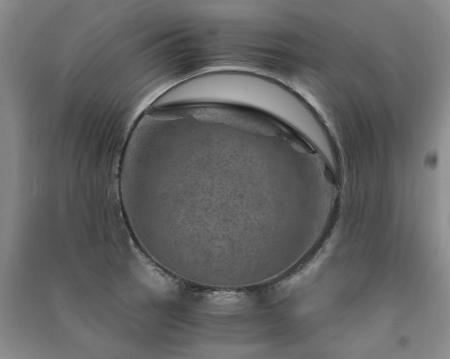 X0000091361137200708171518