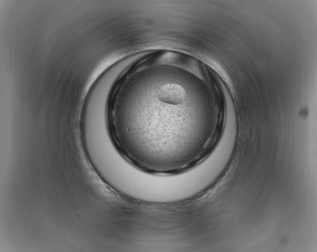 X0000091361138200708171518