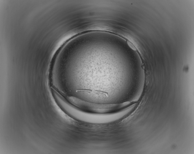 X0000091361139200708171518