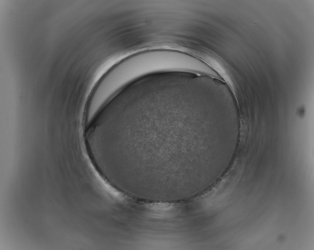 X0000091361141200708171518