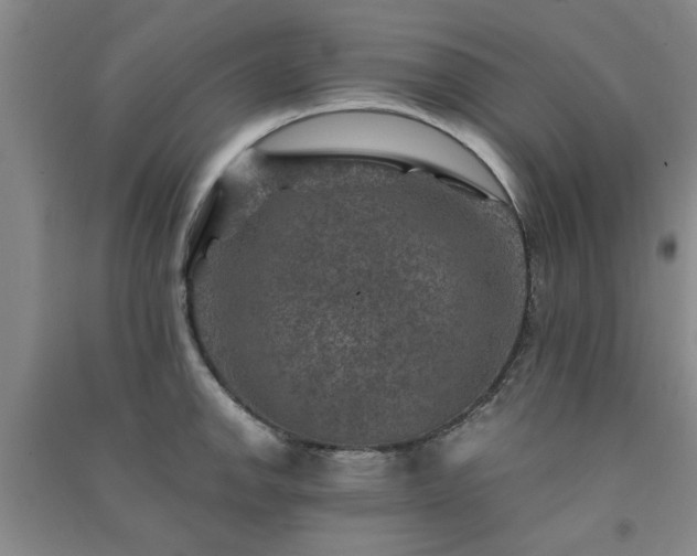 X0000091361142200708171518