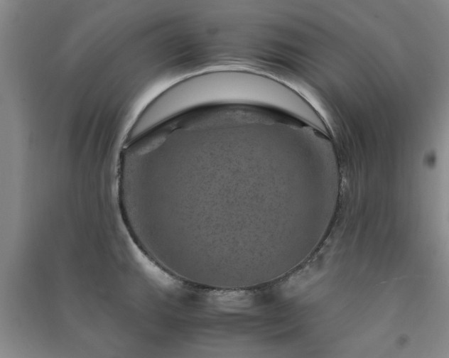 X0000091361143200708171518