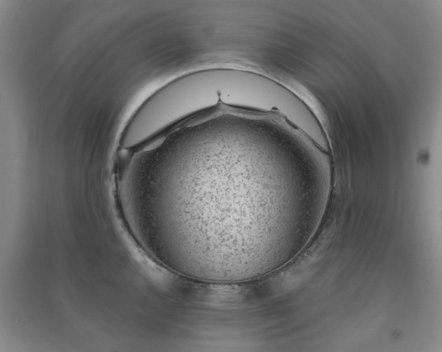 X0000091361144200708171518