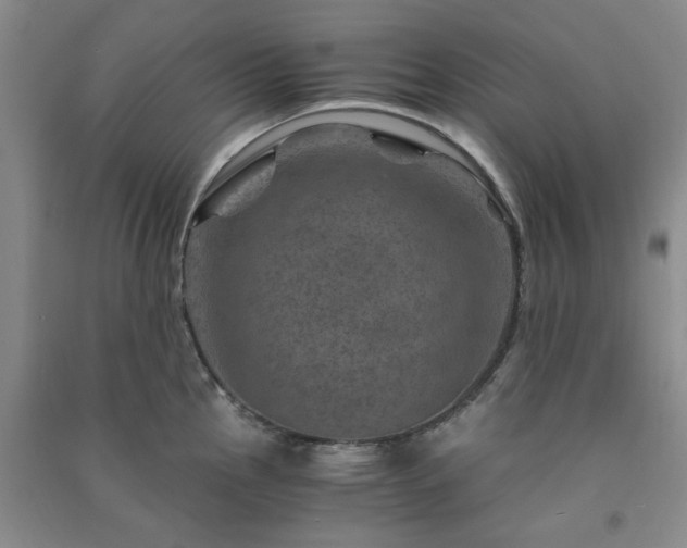 X0000091361145200708171518