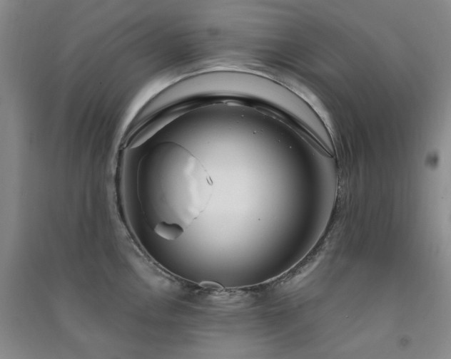 X0000091361146200708171518