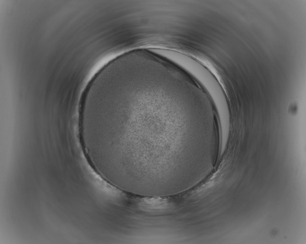 X0000091361147200708171518