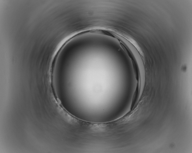 X0000091361148200708171518
