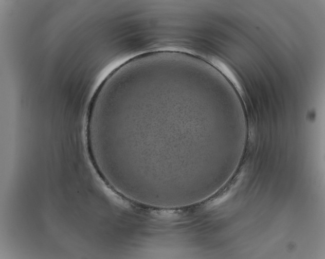 X0000091361149200708171518