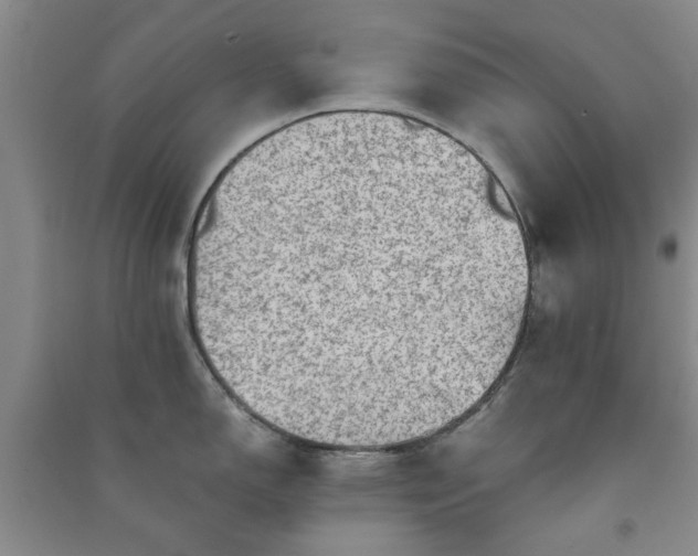 X0000091361150200708171518