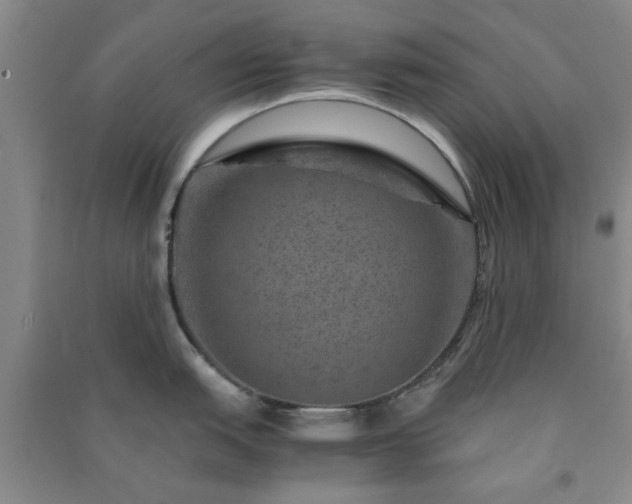 X0000091361151200708171518