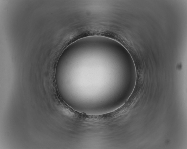 X0000091361153200708171518