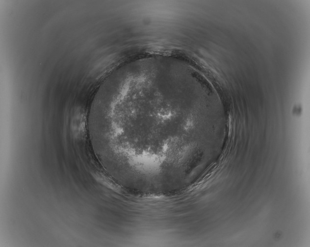 X0000091361154200708171518