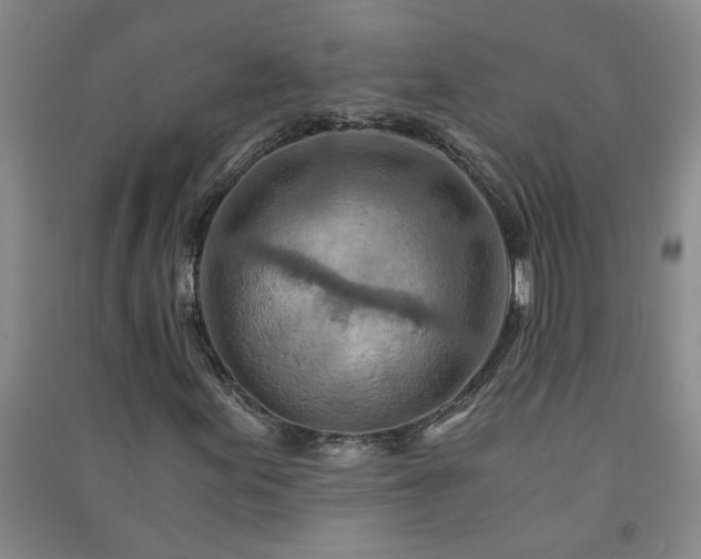 X0000091361155200708171518