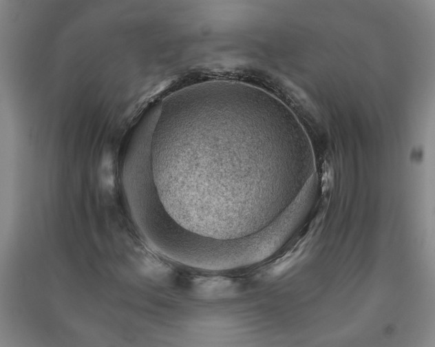 X0000091361156200708171518
