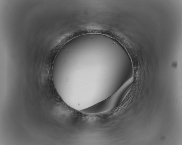 X0000091361157200708171518