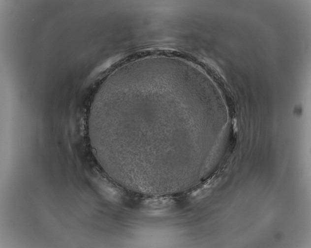 X0000091361159200708171518