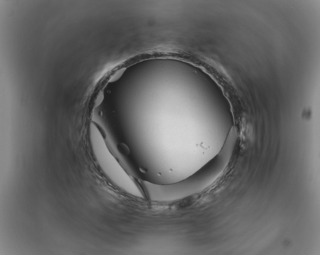 X0000091361160200708171518