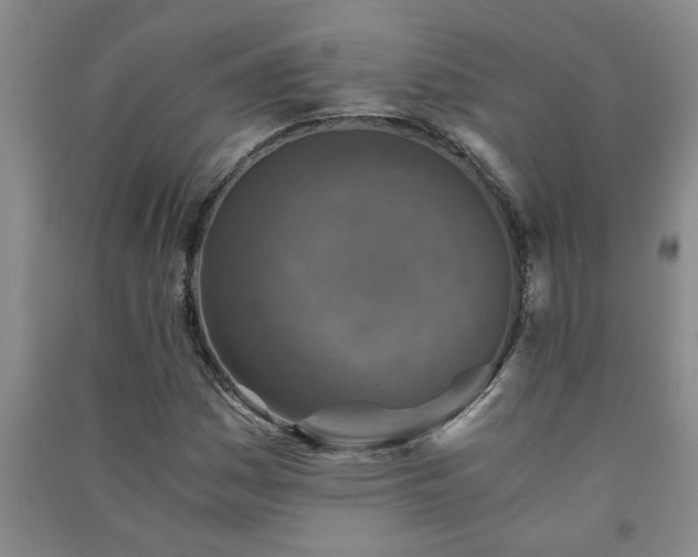X0000091361161200708171518