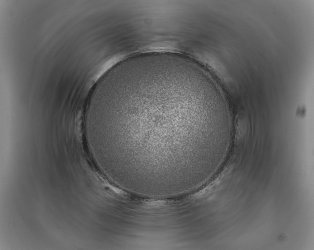 X0000091361162200708171518
