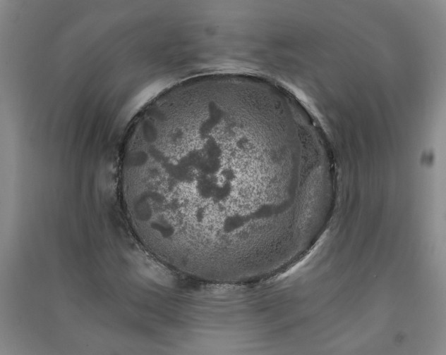 X0000091361163200708171518