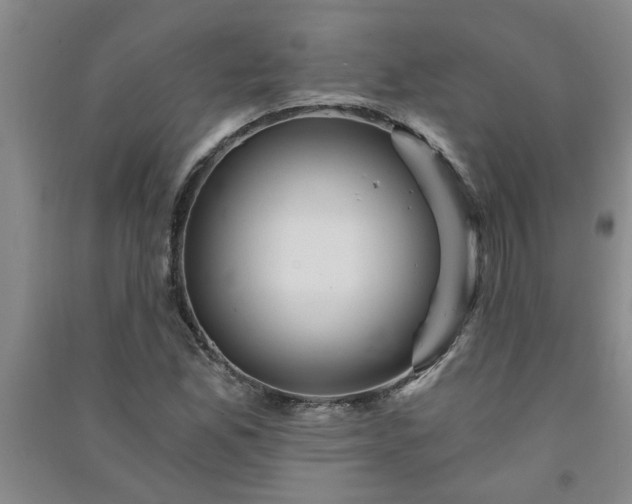 X0000091361165200708171518