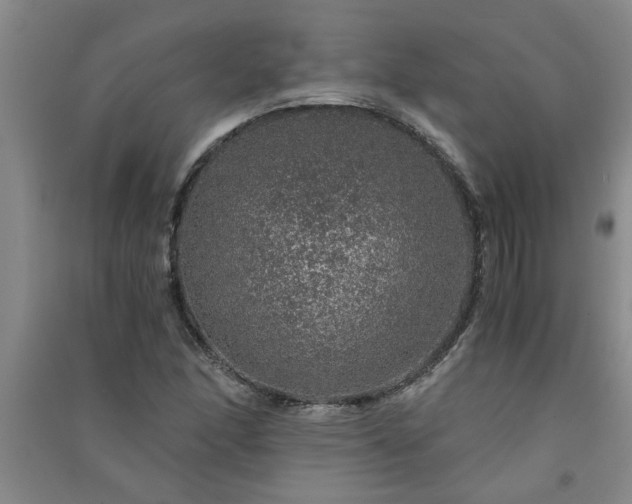 X0000091361166200708171518
